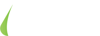 Ayonaire SEO Academy